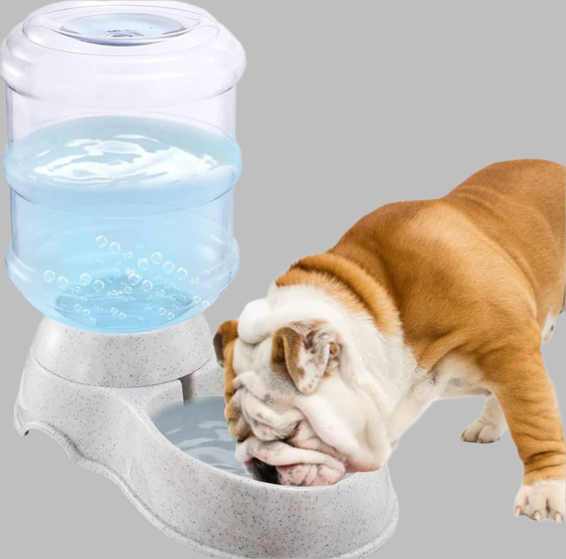 Automatic feeder for cats and dogs™