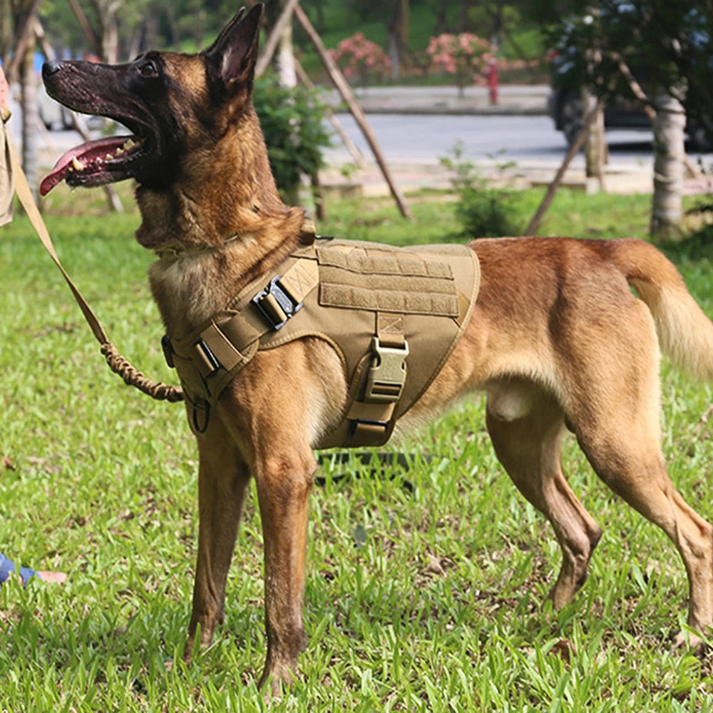 Tactical Dog Harness Set with Collar, Leash, and Accessory Pouches™